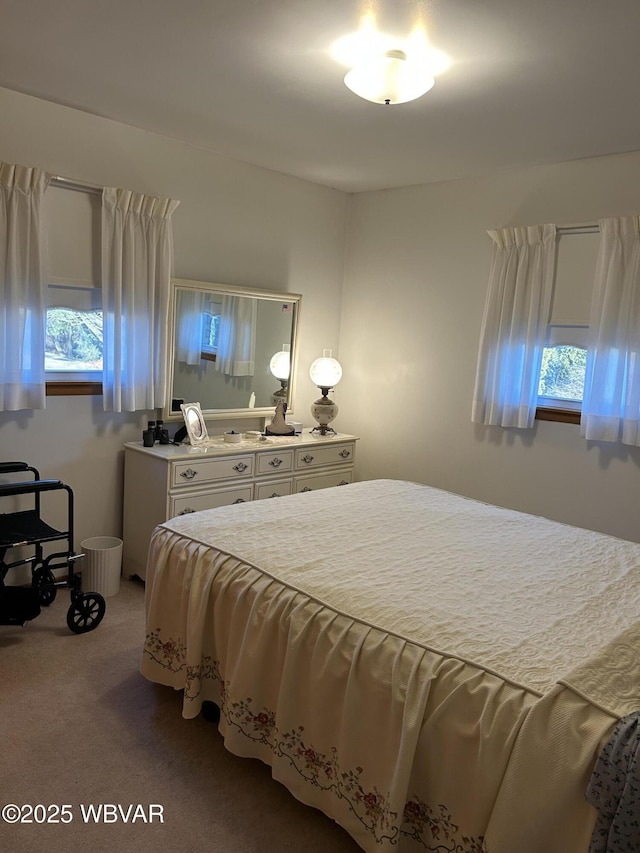 bedroom with carpet flooring