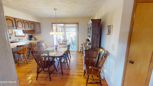 dining room featuring a wealth of natural light and light wood finished floors