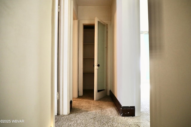 1250 High St, Williamsport, PA 17701 - photo 28
