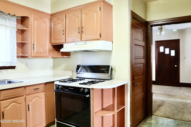 1250 High St, Williamsport, PA 17701 - photo 15