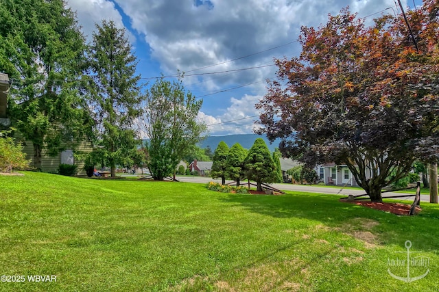25 Arch St, Lock Haven, PA 17745 - photo 3