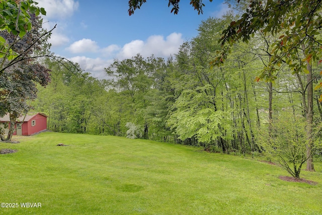 1640 Pleasant Valley Rd, Cogan Station, PA 17728 - view of grassy yard featuring an outbuilding and a wooded view