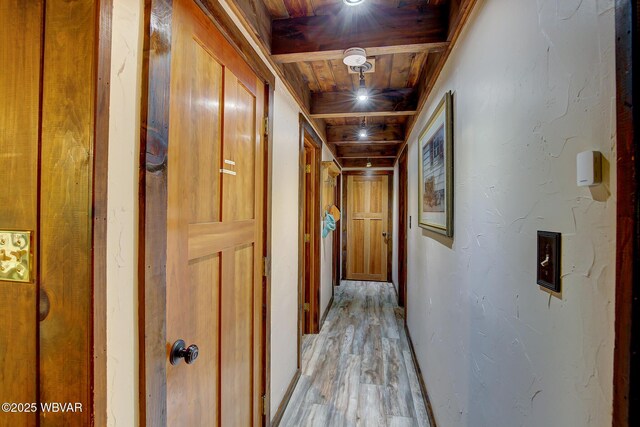 1640 Pleasant Valley Rd, Cogan Station, PA 17728 - hallway with light wood finished floors and wooden ceiling
