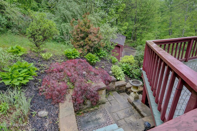 1640 Pleasant Valley Rd, Cogan Station, PA 17728 - view of yard featuring a wooded view