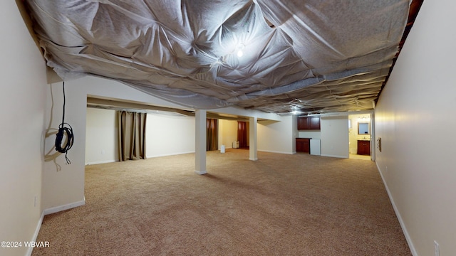 basement featuring carpet