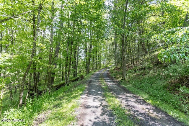 1462 Highland Lake Rd, Hughesville, PA 17737 - view of street with a wooded view