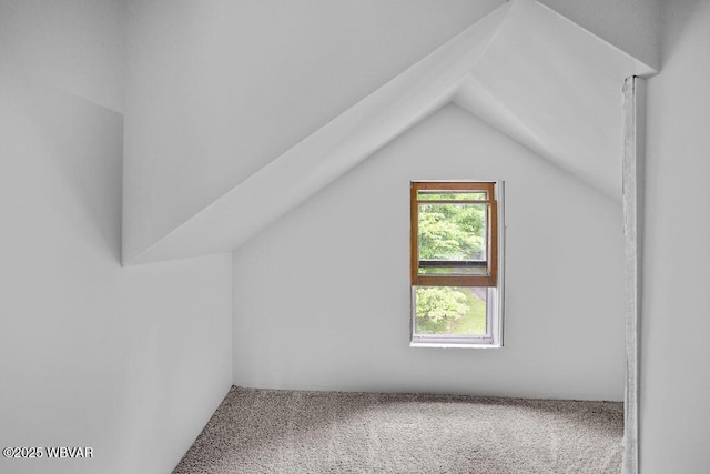 1462 Highland Lake Rd, Hughesville, PA 17737 - bonus room featuring carpet and vaulted ceiling