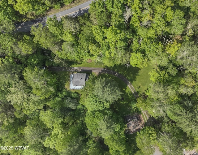 1462 Highland Lake Rd, Hughesville, PA 17737 - aerial view