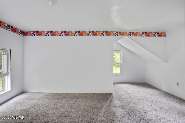 1462 Highland Lake Rd, Hughesville, PA 17737 - bonus room with carpet flooring