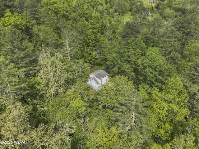 1462 Highland Lake Rd, Hughesville, PA 17737 - aerial view of property and surrounding area
