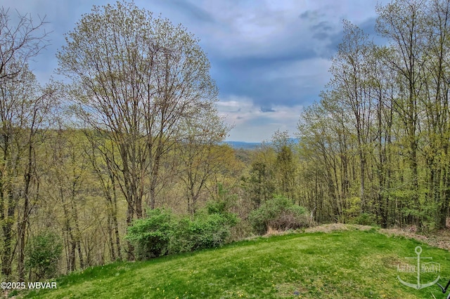 2312 Teaberry Ln, Lock Haven, PA 17745 - view of yard with a forest view