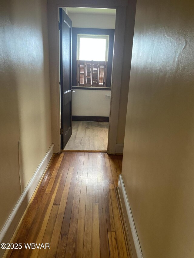1165 High St, Williamsport, PA 17701 - photo 21