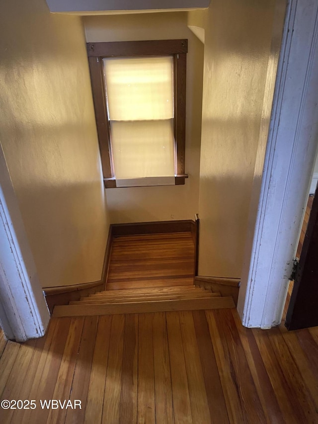 1165 High St, Williamsport, PA 17701 - photo 24