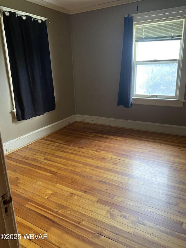 1165 High St, Williamsport, PA 17701 - photo 23
