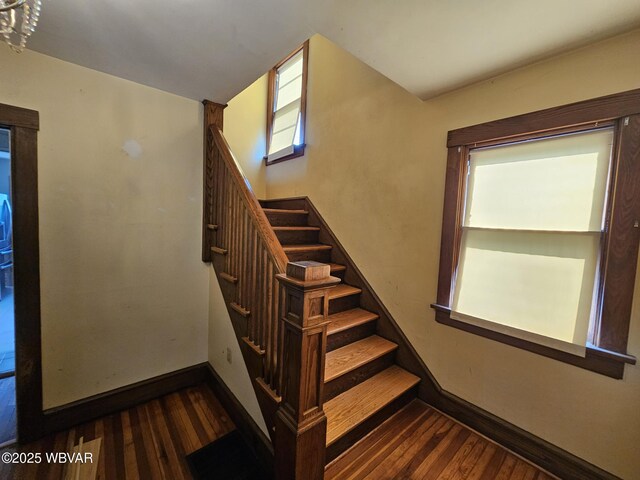 1165 High St, Williamsport, PA 17701 - photo 7