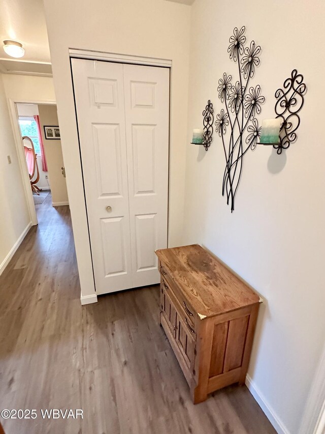 44 Grimesville Rd, Williamsport, PA 17701 - photo 34