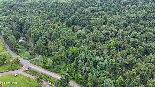 PARCEL168C Pleasant Valley Rd, Cogan Station, PA 17728 - photo 2