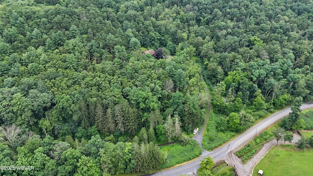 PARCEL168C Pleasant Valley Rd, Cogan Station, PA 17728 - photo 4