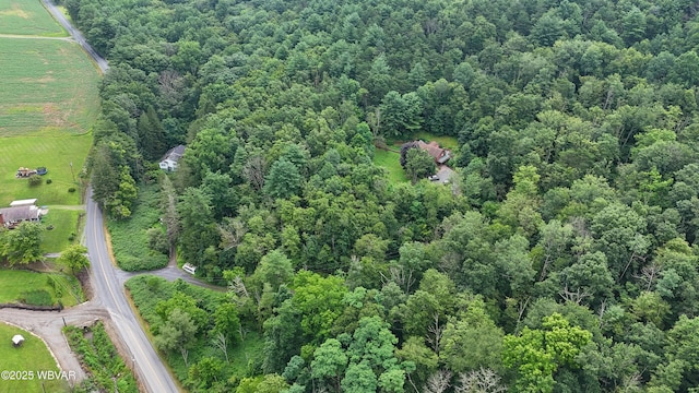 PARCEL168C Pleasant Valley Rd, Cogan Station, PA 17728 - photo 1