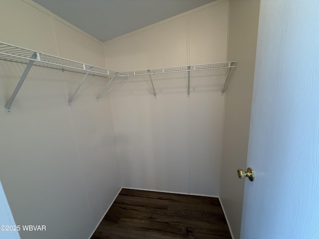 walk in closet with dark hardwood / wood-style flooring