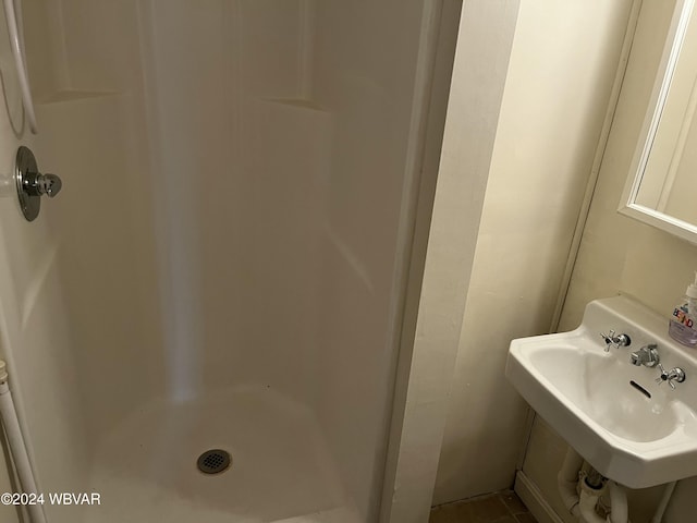 bathroom featuring walk in shower and sink