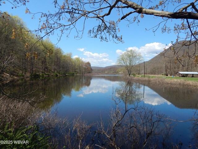 1001 Pine St, Renovo, PA 17764 - photo 23