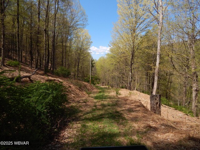 1001 Pine St, Renovo, PA 17764 - photo 13