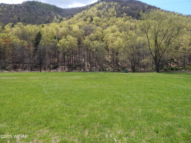 1001 Pine St, Renovo, PA 17764 - photo 17