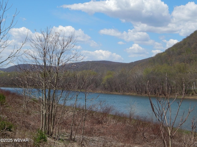 1001 Pine St, Renovo, PA 17764 - photo 4