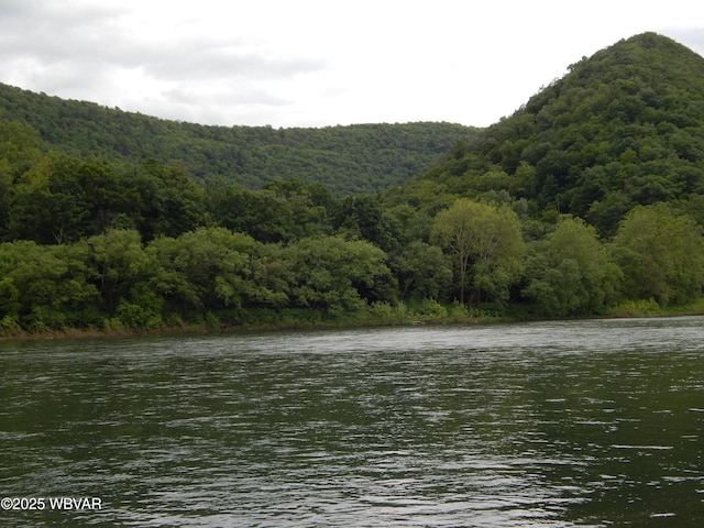 1001 Pine St, Renovo, PA 17764 - photo 28