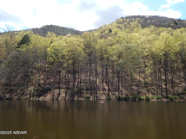 1001 Pine St, Renovo, PA 17764 - photo 22