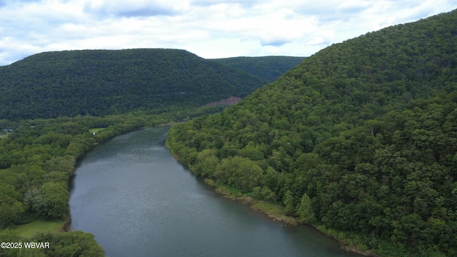 1001 Pine St, Renovo, PA 17764 - photo 8