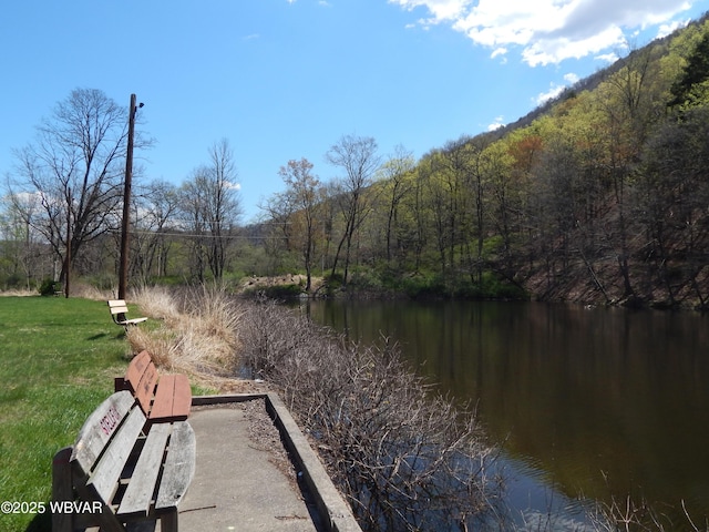 1001 Pine St, Renovo, PA 17764 - photo 21