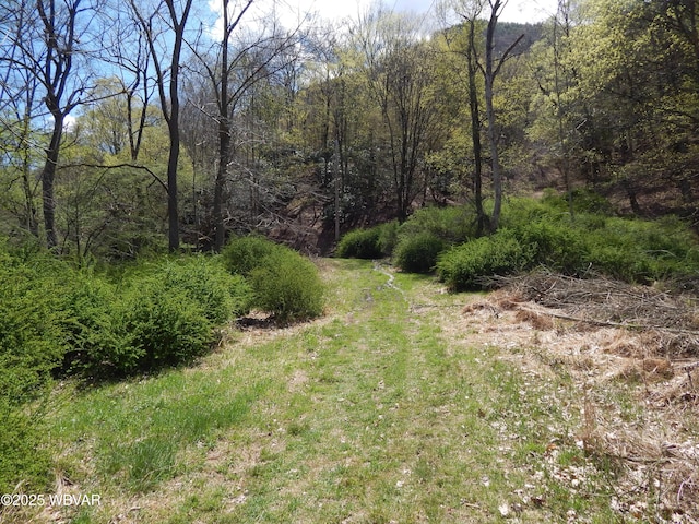 1001 Pine St, Renovo, PA 17764 - photo 15
