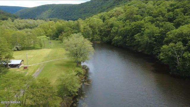 1001 Pine St, Renovo, PA 17764 - photo 7