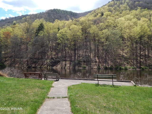 1001 Pine St, Renovo, PA 17764 - photo 19