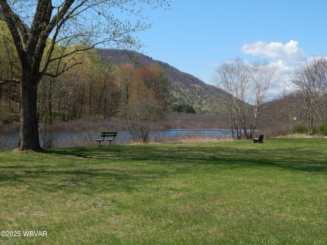 1001 Pine St, Renovo, PA 17764 - photo 18