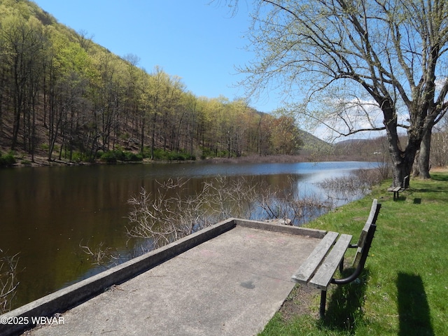 1001 Pine St, Renovo, PA 17764 - photo 20