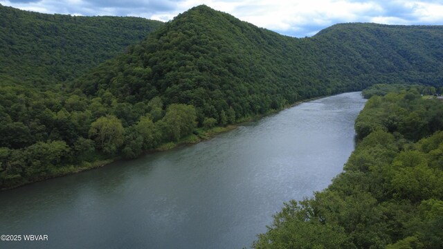1001 Pine St, Renovo, PA 17764 - photo 29