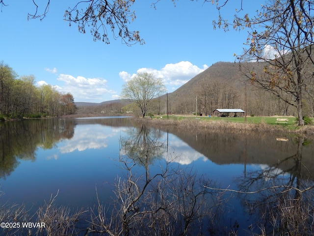 1001 Pine St, Renovo, PA 17764 - photo 30