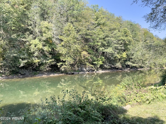 view of nature featuring a water view