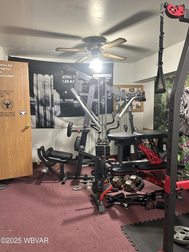 workout area with ceiling fan