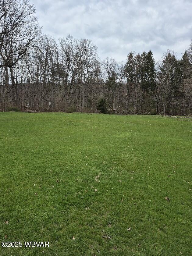 1358 W Valley Rd, Loganton, PA 17747 - view of yard