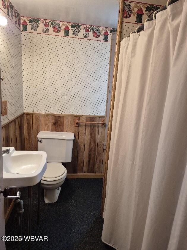 1358 W Valley Rd, Loganton, PA 17747 - full bathroom with toilet, wood walls, a sink, and wainscoting