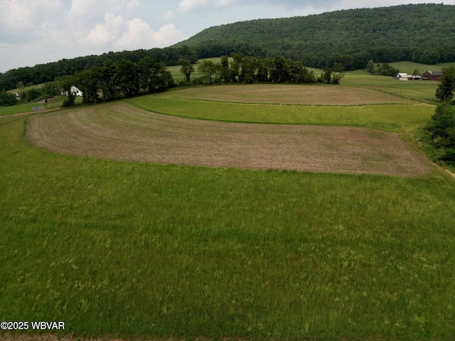 0 Cresent Hill Rd, Cogan Station, PA 17728