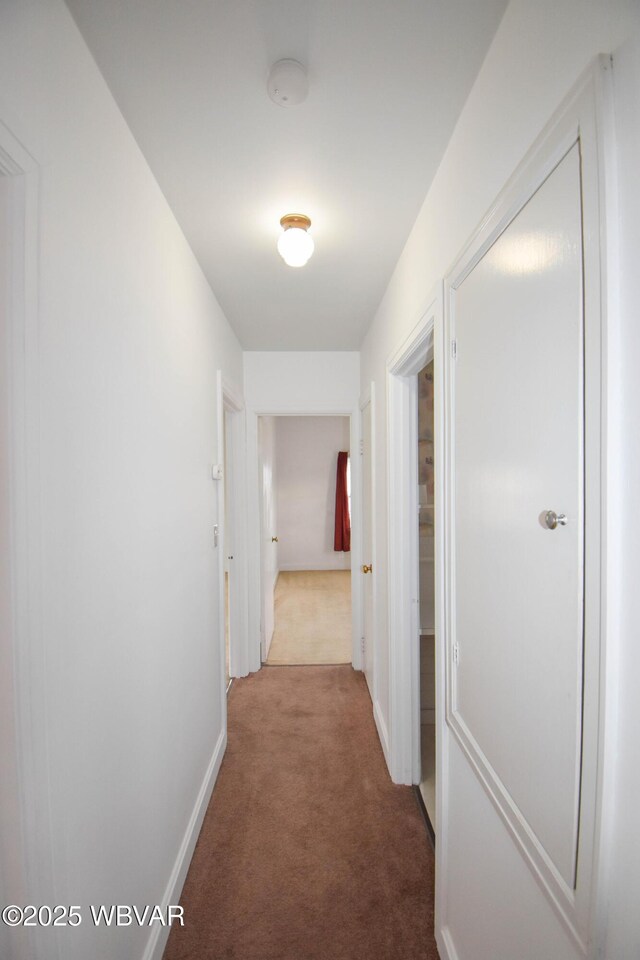 hallway featuring carpet floors and baseboards