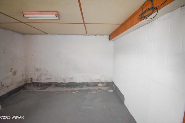 unfinished basement with concrete block wall