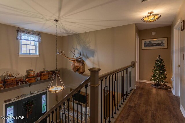 hallway featuring dark hardwood / wood-style floors