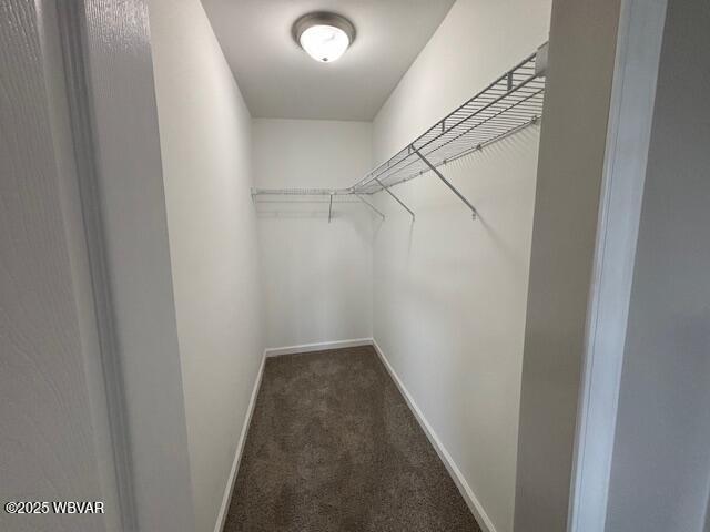 900 Meade St, Williamsport, PA 17701 - photo 19