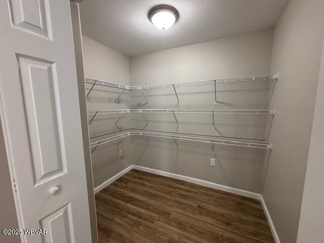 900 Meade St, Williamsport, PA 17701 - photo 5